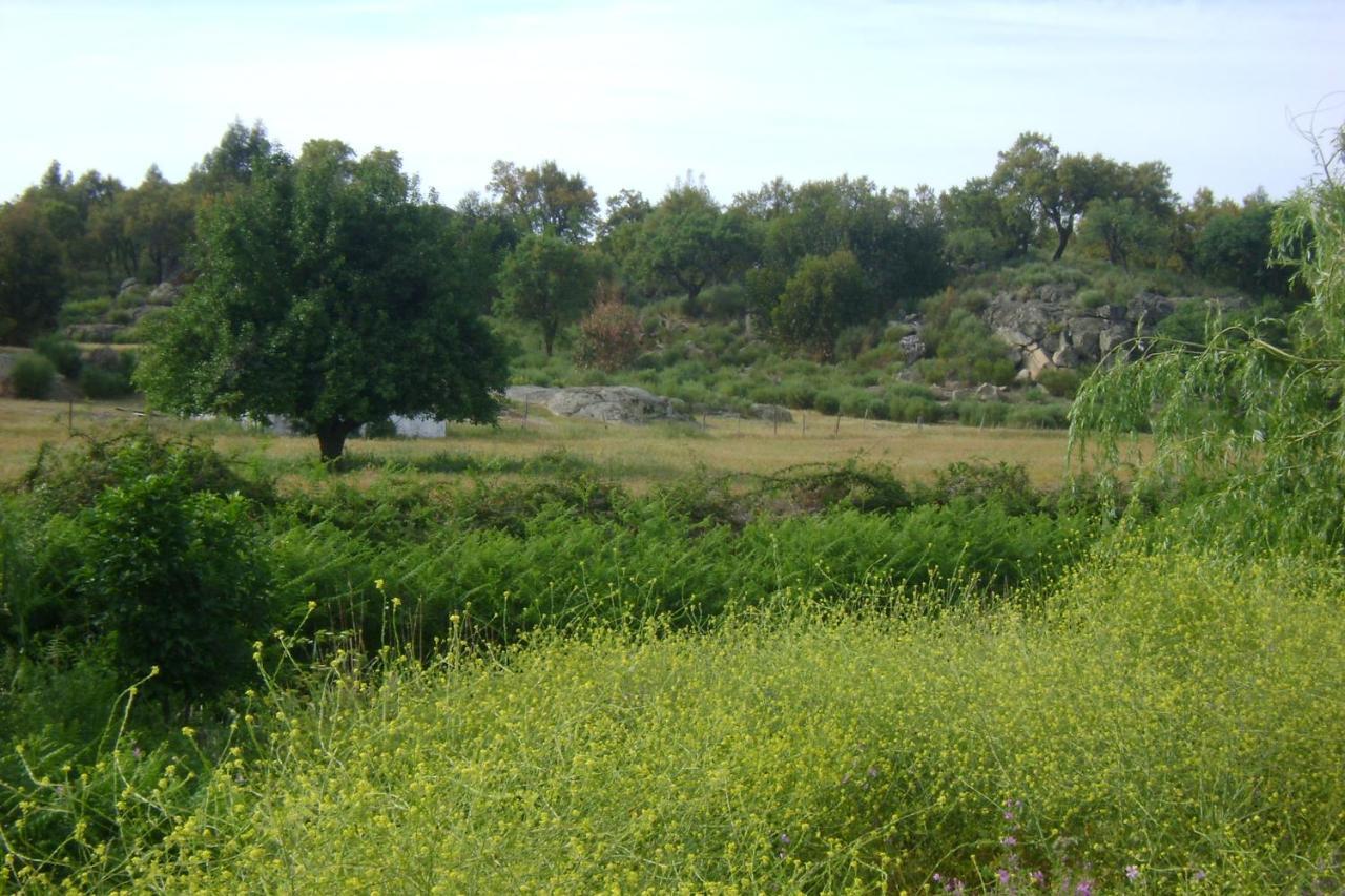 Vila Tapada Da Beira Marvão Exteriér fotografie