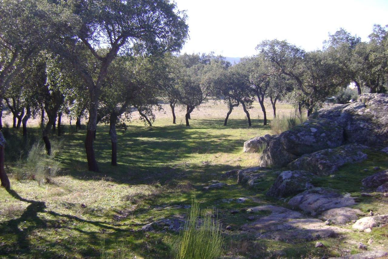 Vila Tapada Da Beira Marvão Exteriér fotografie