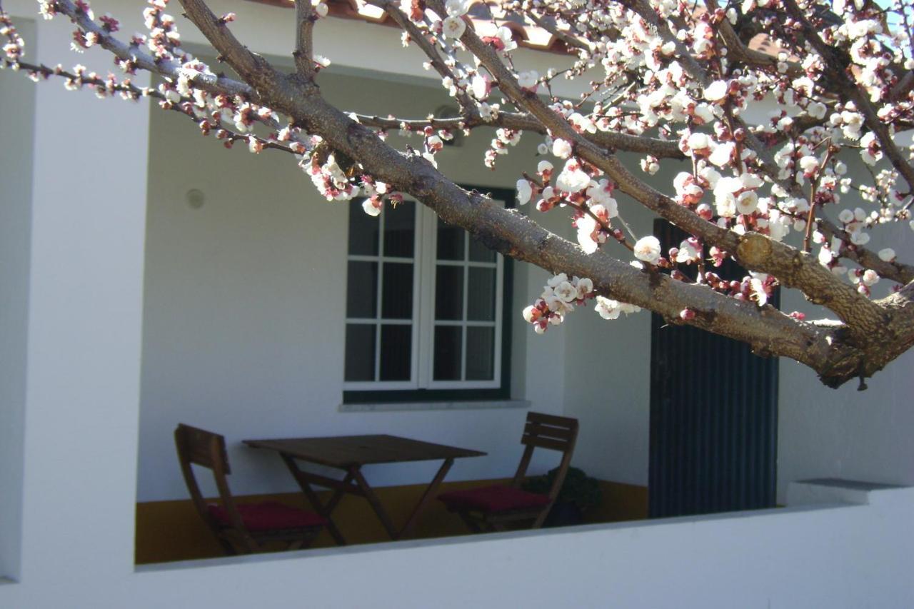 Vila Tapada Da Beira Marvão Exteriér fotografie